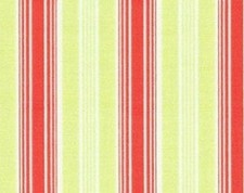 Joel Dewberry, Manzanita Ticking Stripe in Salmon EOB 6x44" Last One