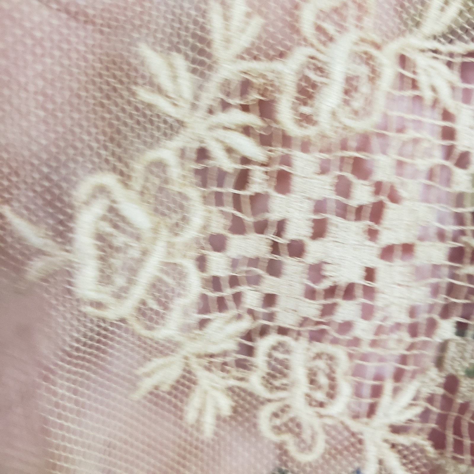 Vintage Antique Ecru Embroidered Lace Crafts Sewing 122 x 22 Inches