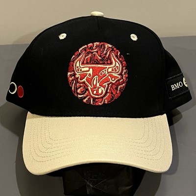 Chicago Bulls BMO Artist Series Snapback Hat Walker TKL