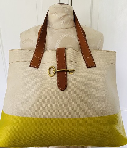 fossil beach bag