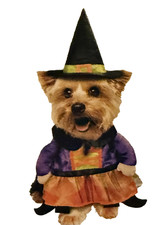 Witch Pet Dog or Cat Costume Size S Small NEW 