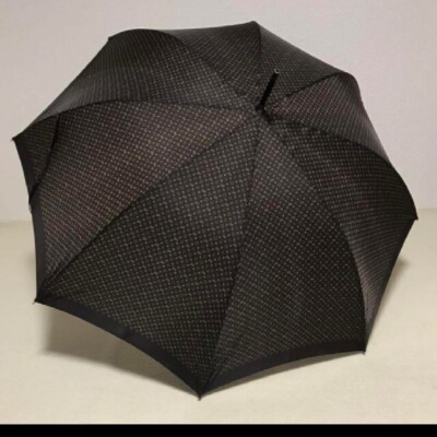 Louis Vuitton Monogram Mens Long Umbrella | eBay
