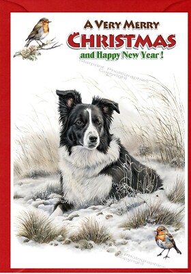 Border Collie Dog A6 (4" x 6") Christmas Card - Blank inside - by ...