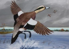 HARRY HAYES- PA Realist-Original Signed Acrylic-American Widgeon Ducks
