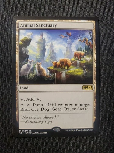 Animal Sanctuary #242 (NM) Core Set 2021 M21 Magic The Gathering MTG