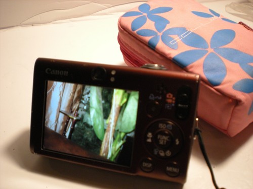 Canon PowerShot SD1100 IS Digital ELPH 8.0MP 3x Digital Camera Red - Picture 13 of 19