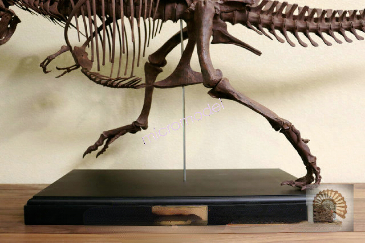 REBOR Tyrannosaurus Rex 1/35 Action Figure GK Statue Dinosaur Model