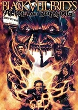 DVD Movie Black Veil Brides - Alive and Burning Rock Band Concert Video 1st Live