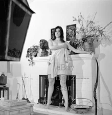  1960s Negative-sexy brunette pinup girl Barbara-cheesecake t54041 