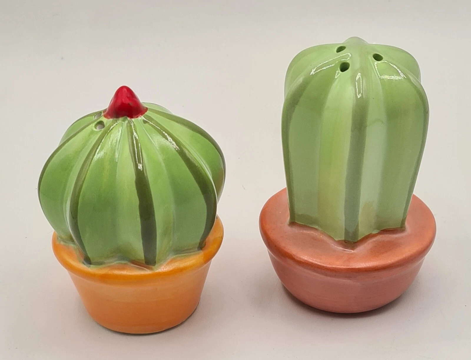 Cactus in Red Pot Garden Ceramic Shakers Salt Pepper Decor Spring Summer