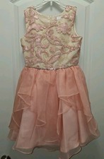 Rare Editions Girls Sz. 12 Princess Dress Mauve Pink, Gold Embroidered, Tulle