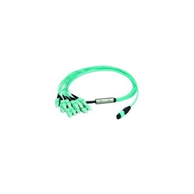Telegärtner MPO/MTP Aufteilkb.türk 10m 100011106 LWL MPO/MTP