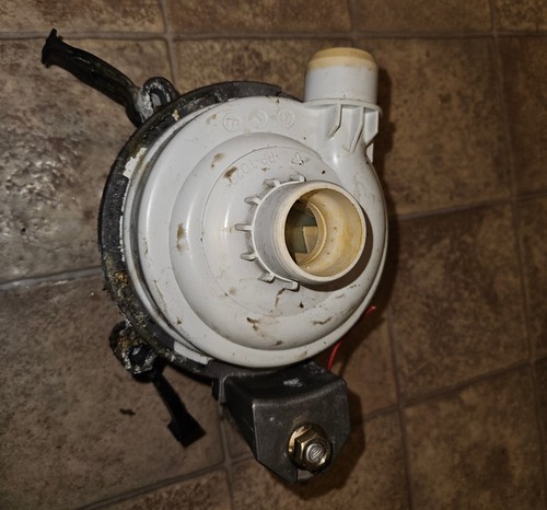 SGI55M05EU Motor Umwaelzpumpe