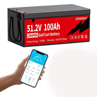 48V 100Ah Lithium LiFePO4 Battery 200A BMS 10 Year warranty for Golf cart EV RV