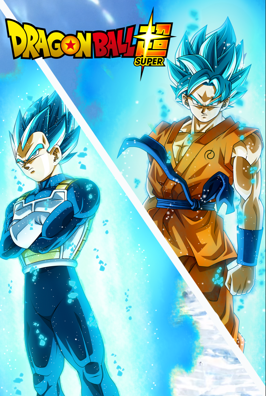 Dragon Ball Super Poster : r/dbz