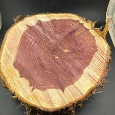 X Large Red Cedar Wood Turning Blank Cookie Live Edge Base3" Thick X10" W 8