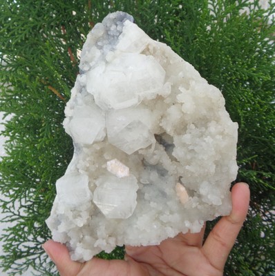 Apophyllite Crystal w/ Chalcedony Coral On Matrix Minerals Specimen #H52