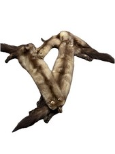Vintage Mink Stole