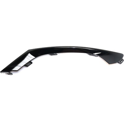 Bumper Face Bar Trim Molding Step Pad Front Passenger Right Side  68203038AB