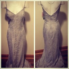Bari Jay Silvercee Lace Spaghetti Strap Lined Gown Sz 12 Nwt
