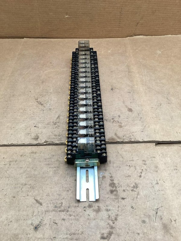 Omron G2R-2-SN Aluminum Rail/19 Relays; 100/(110)VAC