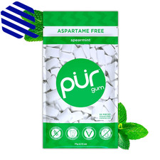 PUR Gum Aspartame Free Chewing Gum 100 Xylitol Natural Spearmint Flavored Gum