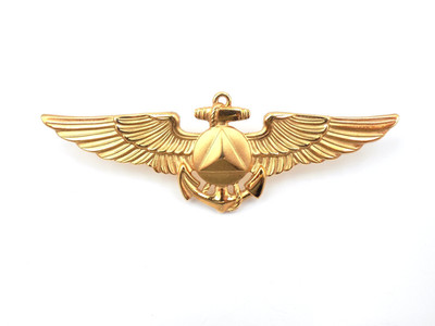 Original US Navy NOAA US Coast & Geodetic Survey Pilot Wings