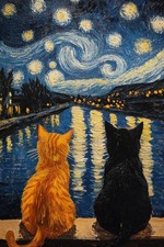 Cat Diamond Art Kits for Adults-Starry Night Diamond Painting Kits for Adults