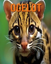 Ocelot: Des Informations et des Images Amusantes et Int?ressantes concernant les