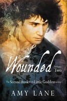 Wounded, Vol. 2 Amy Lane Taschenbuch Kartoniert / Broschiert Englisch 2015