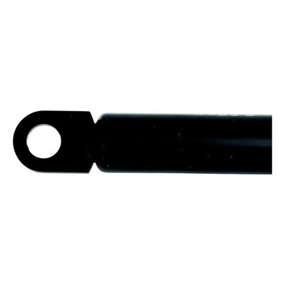 Eyelet Mount 12-20'' Length 20lb Cap 10mm Socket Boat Hatch Lift Support