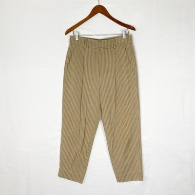 Everlane The Draper Tapered Pant in Buttersmooth Stripe Size 8 High Rise