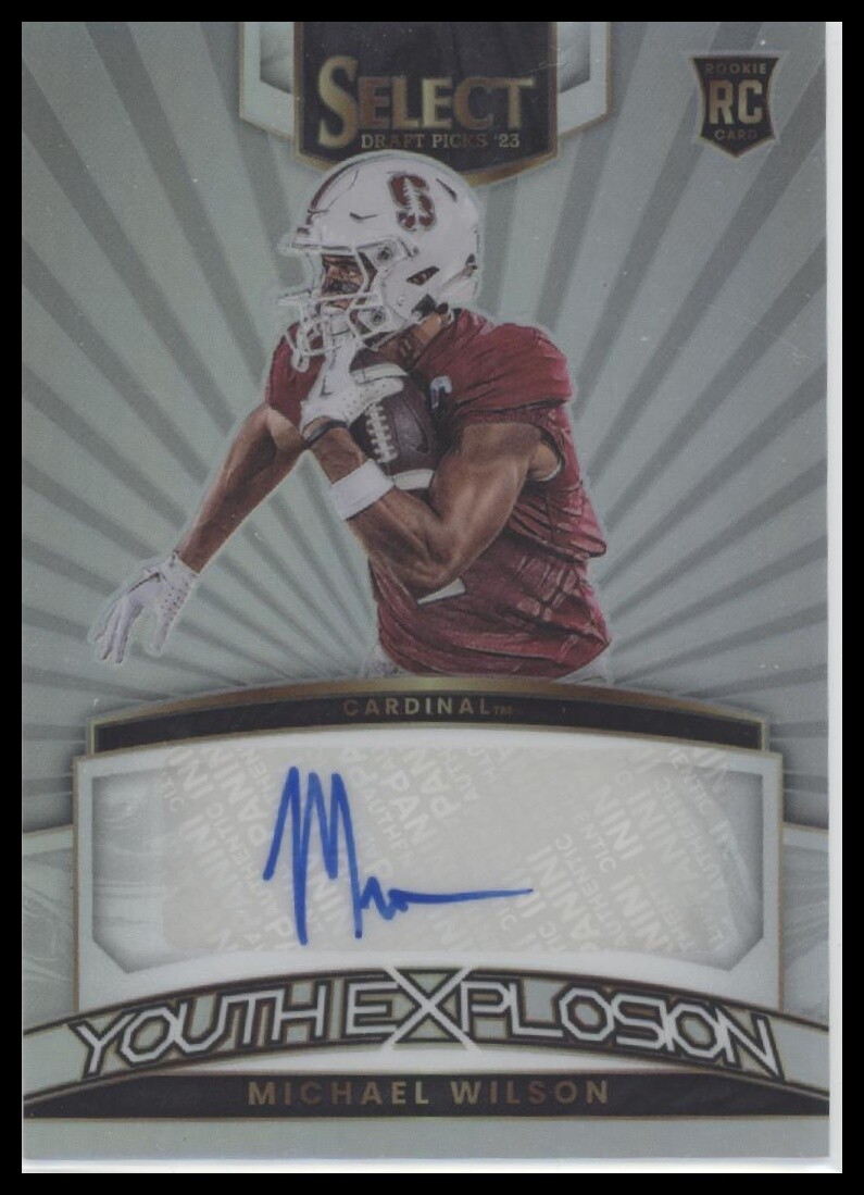 Michael Wilson Panini Select Draft Picks Youth Explosion Signatures #YSMWI Silver