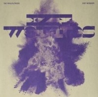Wallflowers - Exit Wounds - Vinyl Record - G1398Z
