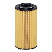 Hengst Filter ÖLfilter Filtereinsatz Passend FüR DAF CF XF XFC XG Xg+ | E903H