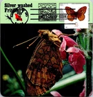 Dr Jim Stamps Maximum Card Great Spangled Fritillary Butterfly 70C Fdc