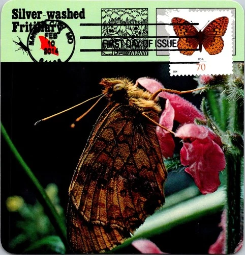 Dr Jim Stamps Maximum Card Great Spangled Fritillary Butterfly 70C Fdc