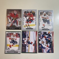 Upper Deck Florida Panthers NHL Card Lot (6 Cards)