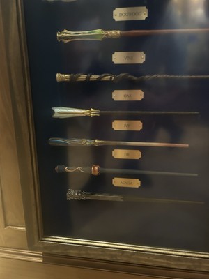 Epic Universe Cosme Acajor Exclusive Interactive Second Generation