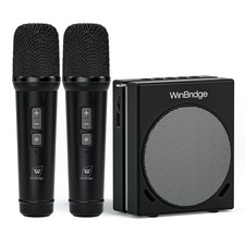 Portable PA System Voice Amplifier 30W Bluetooth 2 Microphones Black S90 Public
