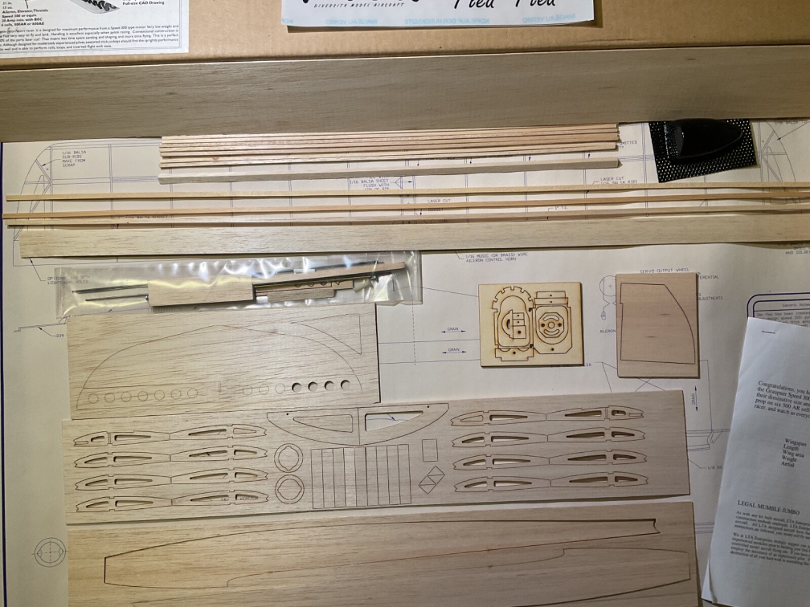 Speed 300 Pylon Racer THE FLEA LTA Enterprises Spw. ca. 790mm Länge ca