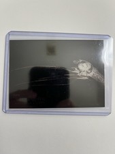 2024 Topps Allen & Ginter Toco Toucan #XR-1 X-Ray Insert X-Ray'd Oregon Zoo