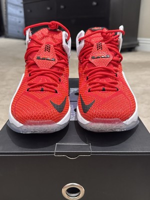 lebron 11 heart of a lion