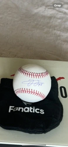 Frank Thomas Fanatics Autographed Baseball Chicago White Sox
