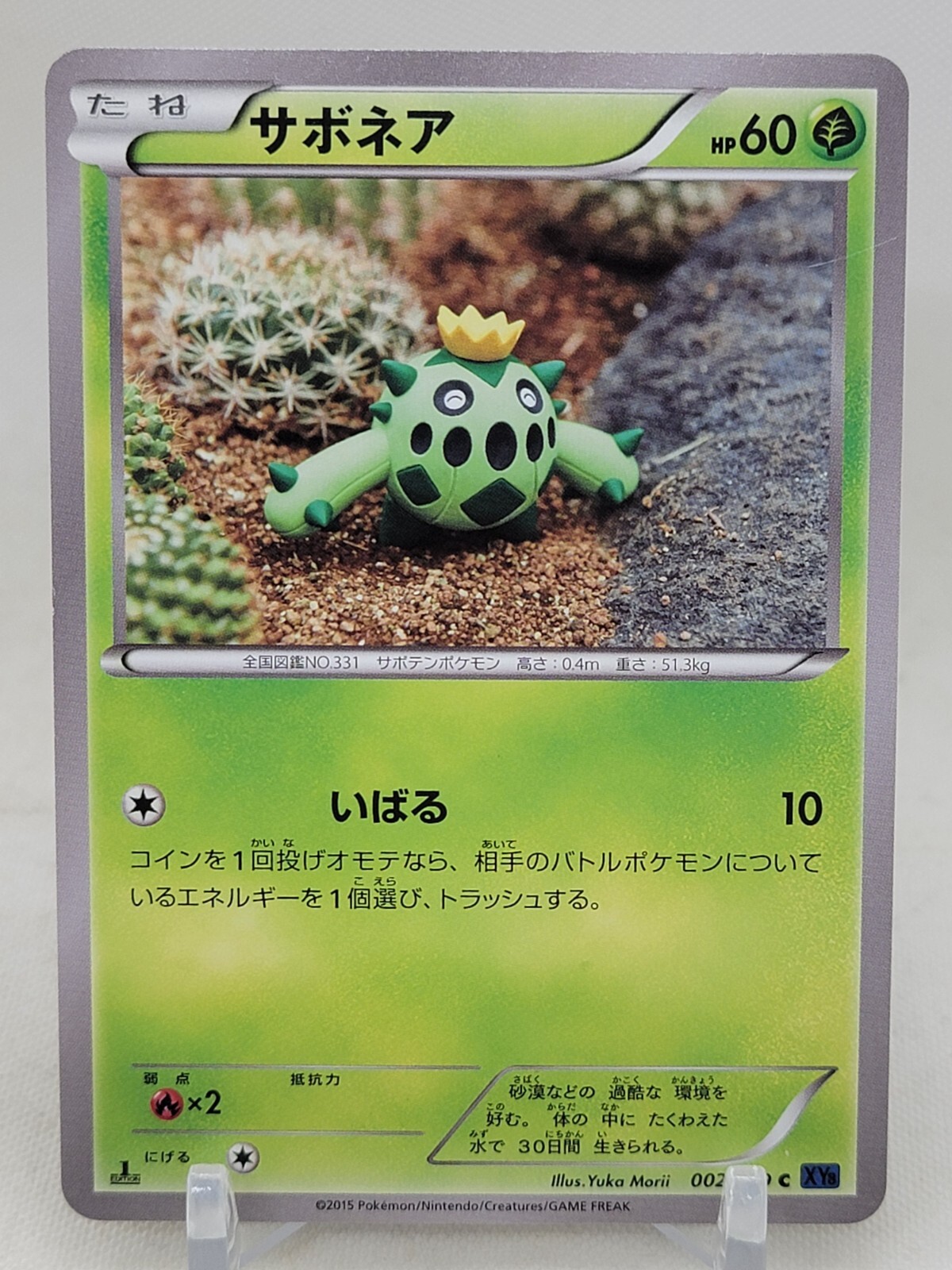 Cacnea 2/59 1st ED XY8 Blue Shock Japanese Pokemon Card