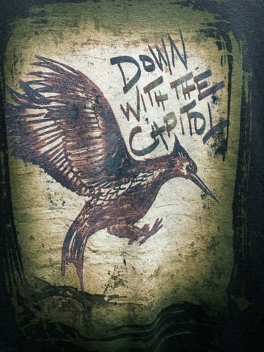 The Hunger Games 2 Catching Fire Down with Capitol Grunge schwarzes Herren-T-Shirt mittelgroß - Bild 3 von 6