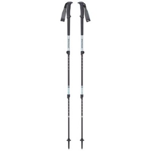 ebay walking poles