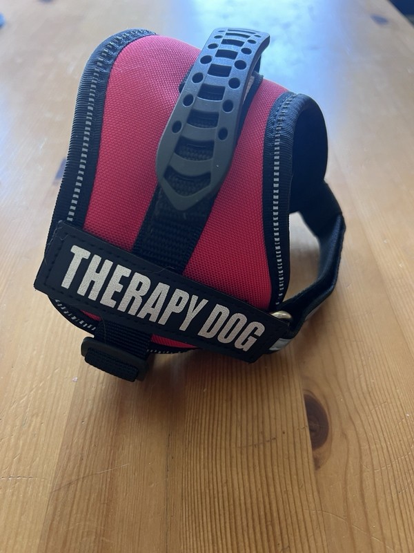 Barely used - Therapy Dog Vest/harness - Size XXS - Red/black