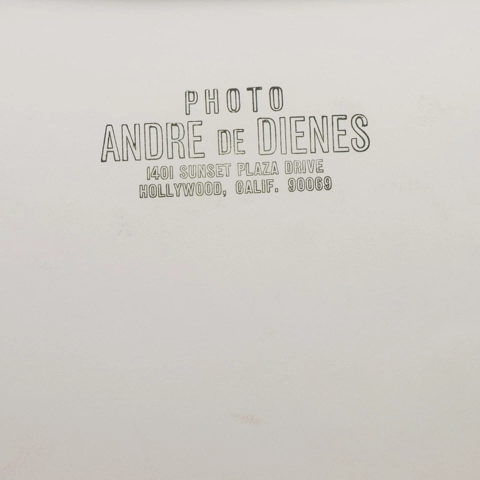 Marilyn Monroe Bath Photo 1953 by Andre De Dienes – Authentic Silver Gelatin COA - Image 3 of 3