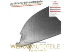 Lüftungsgitter, Stoßfänger links DIEDERICHS 1807261 für OPEL